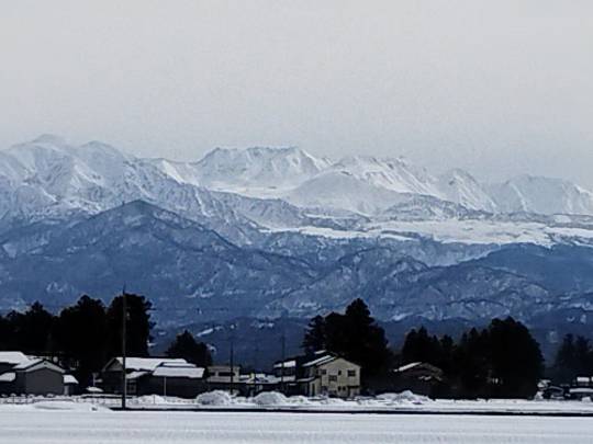 マスク同窓会詰所兼ニューフェイス歓迎所35(思いやり)