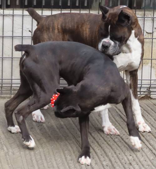 生き物ルーム第53