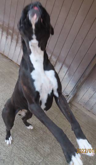 生き物ルーム第53