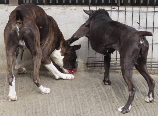 生き物ルーム第53