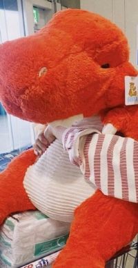 この恐竜はもう販売終了していますか？