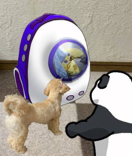 生き物ルーム第54