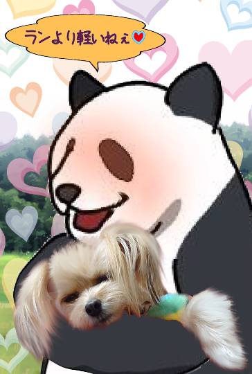 生き物ルーム第53