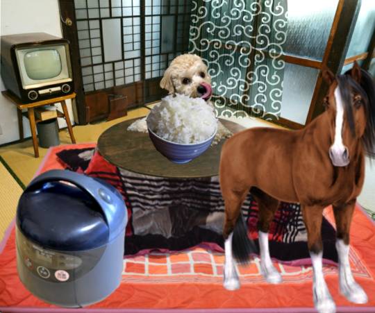 生き物ルーム第53