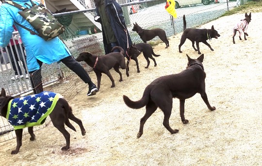 生き物ルーム第54