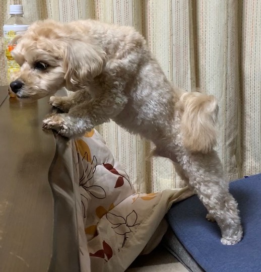 生き物ルーム第53