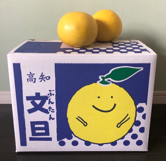 ★ドンキ♡♡ロピア 雑談57★