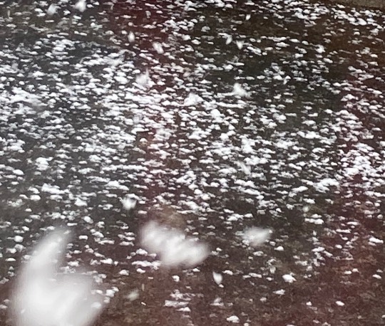 あつまれ！！雑談&amp;ゲーム･アニメ･漫画好きの森　season２#10