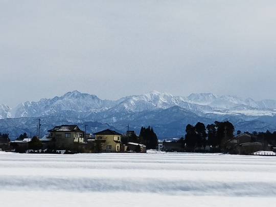 マスク同窓会詰所兼ニューフェイス歓迎所35(思いやり)