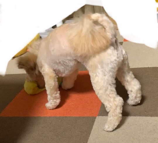 生き物ルーム第53