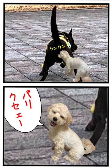 生き物ルーム第53