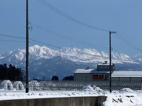 マスク同窓会詰所兼ニューフェイス歓迎所35(思いやり)