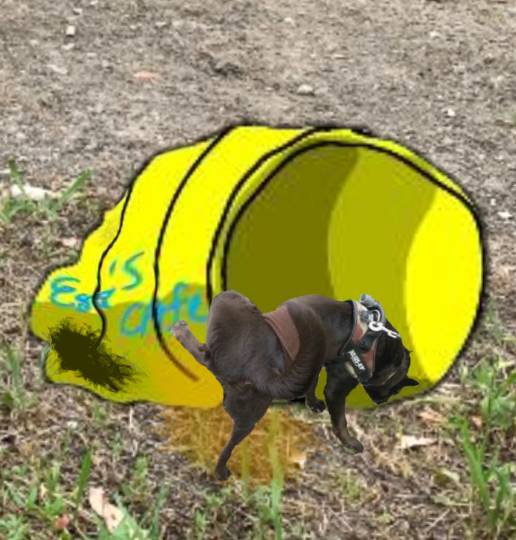 生き物ルーム第54