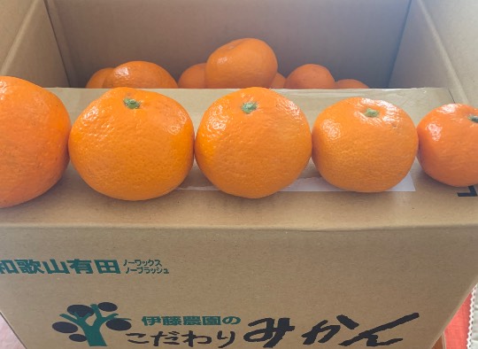 生き物ルーム第54