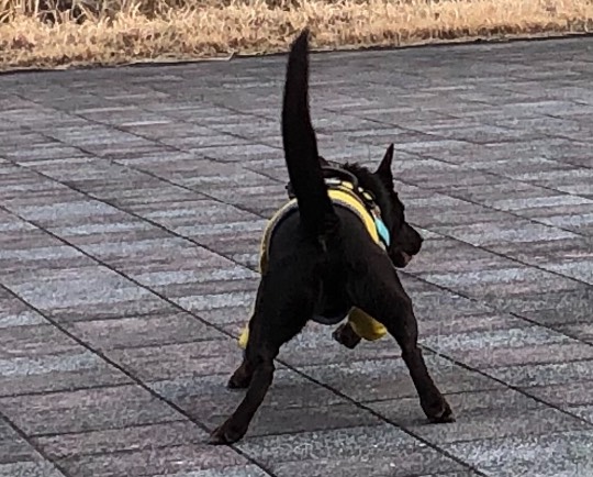 生き物ルーム第53