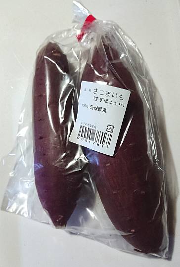 生き物ルーム第54