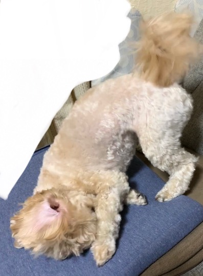 生き物ルーム第53