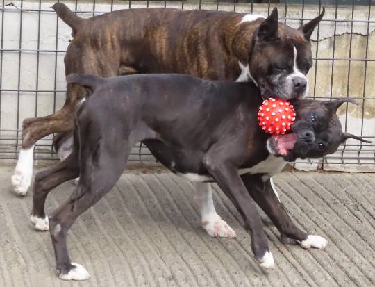 生き物ルーム第53