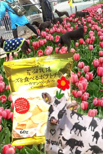 生き物ルーム第54