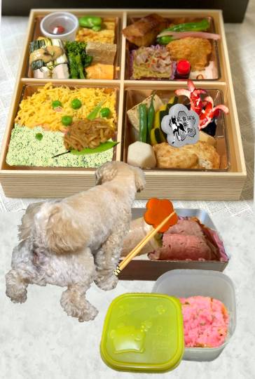 生き物ルーム第53