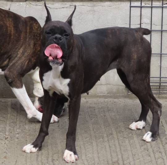 生き物ルーム第53