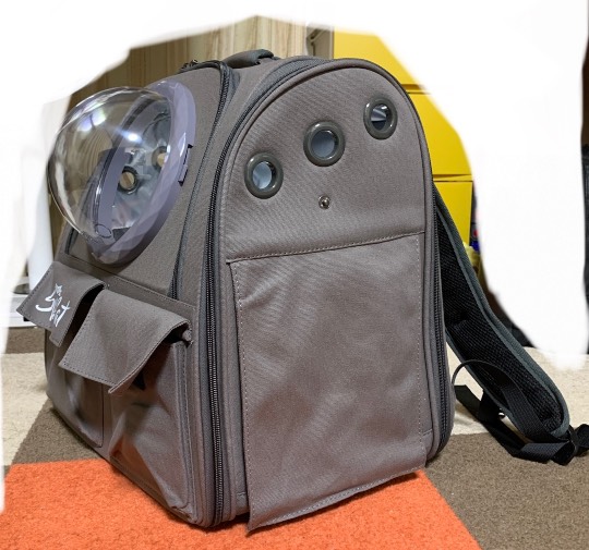 生き物ルーム第54