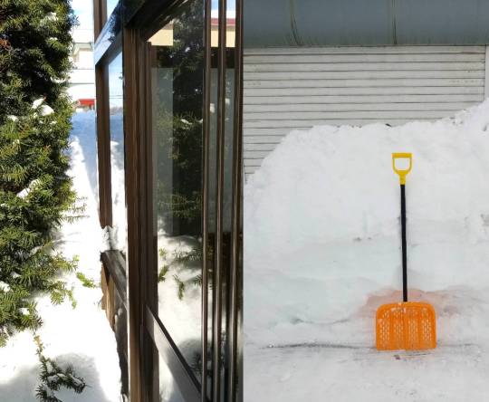 つぶやきトピック 61  年末年始も頑張りませう