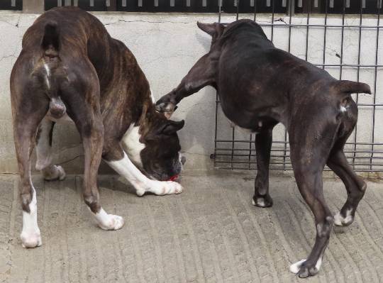 生き物ルーム第53