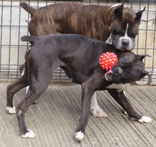 生き物ルーム第53