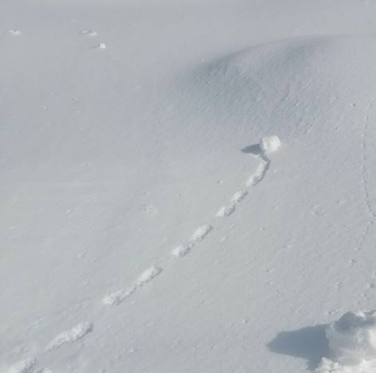 つぶやきトピック 61  年末年始も頑張りませう