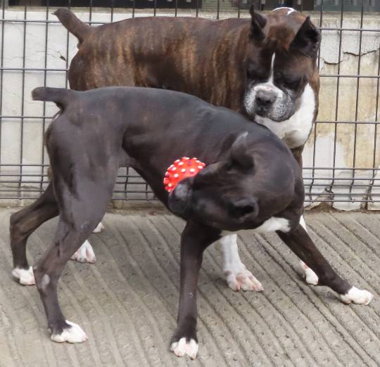 生き物ルーム第53