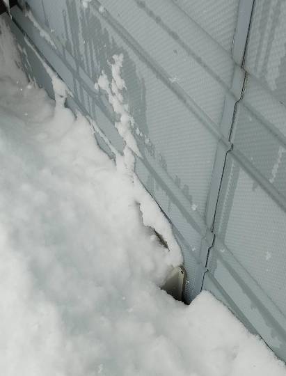 つぶやきトピック 61  年末年始も頑張りませう