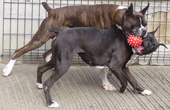 生き物ルーム第53