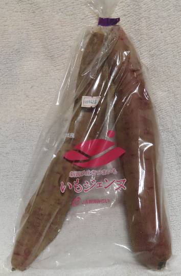 生き物ルーム第54