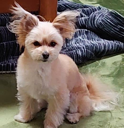 生き物ルーム第53