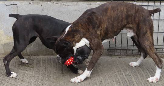 生き物ルーム第53