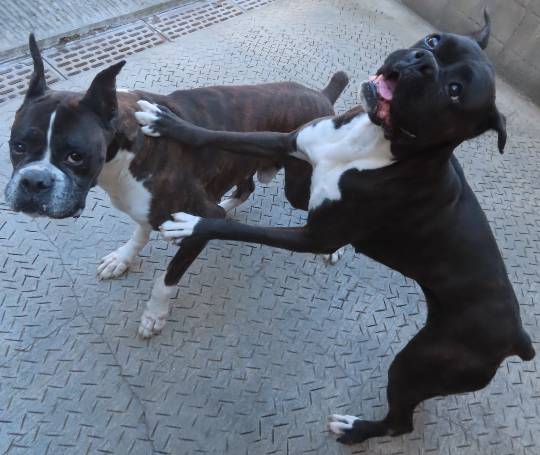 生き物ルーム第54