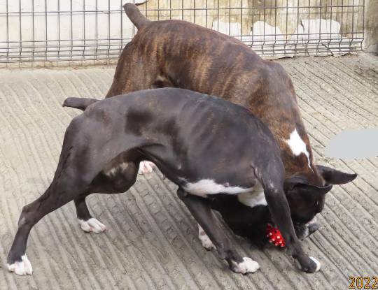 生き物ルーム第53