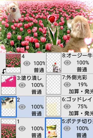 生き物ルーム第54