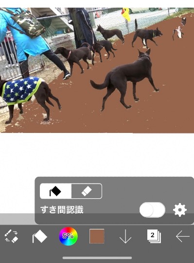 生き物ルーム第54