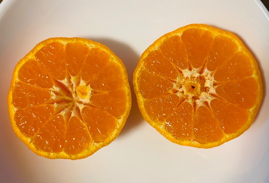 ★ドンキ♡♡ロピア 雑談57★