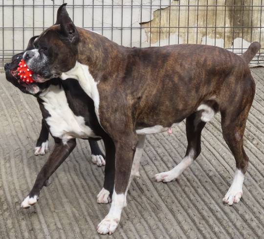 生き物ルーム第53