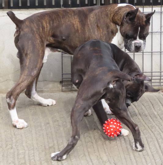 生き物ルーム第53