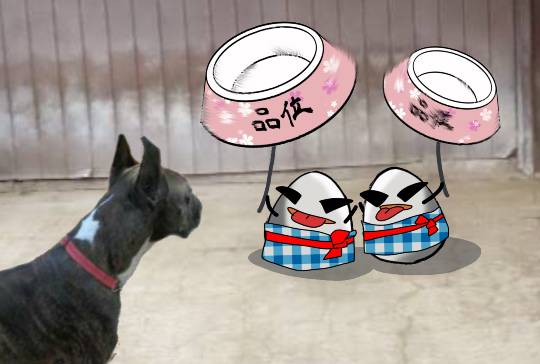 生き物ルーム第53