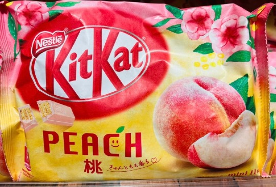 ★ドンキ♡♡ロピア 雑談57★