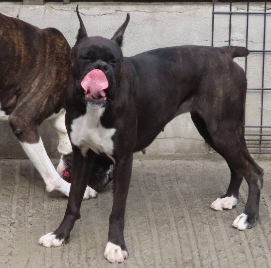 生き物ルーム第53