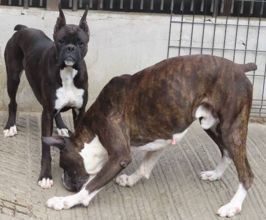 生き物ルーム第53