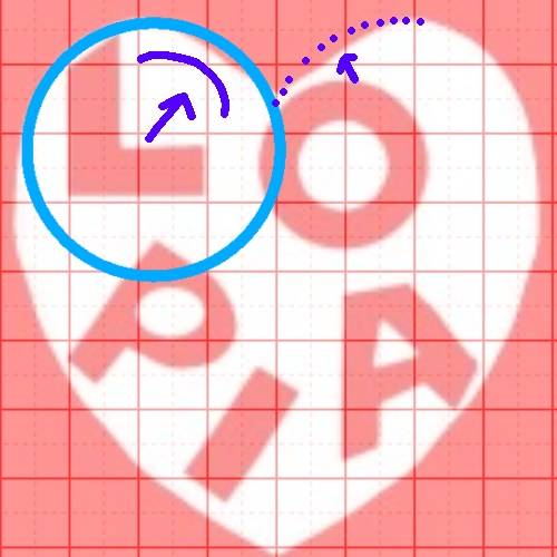 生き物ルーム第54