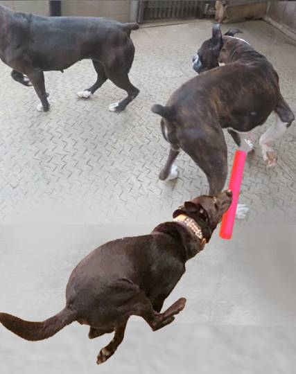 生き物ルーム第53