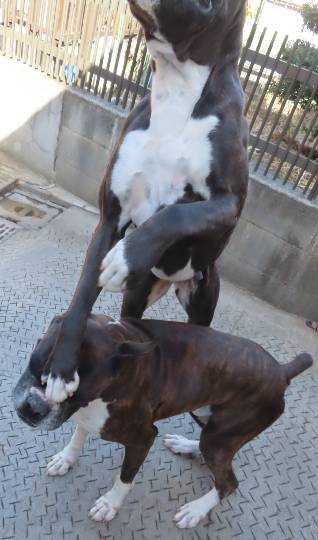 生き物ルーム第54